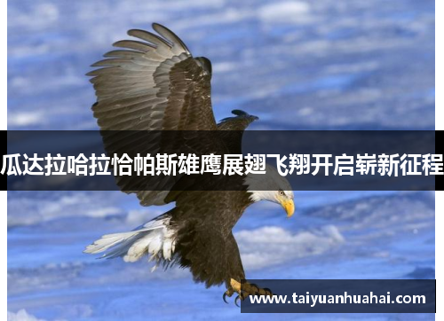 瓜达拉哈拉恰帕斯雄鹰展翅飞翔开启崭新征程